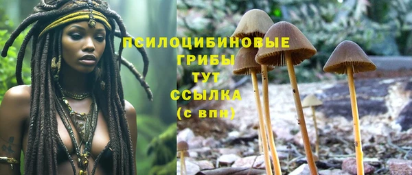 соль ск Михайловка